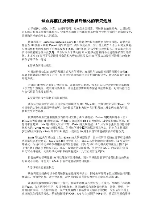 缺血再灌注损伤致肾纤维化的研究进展
