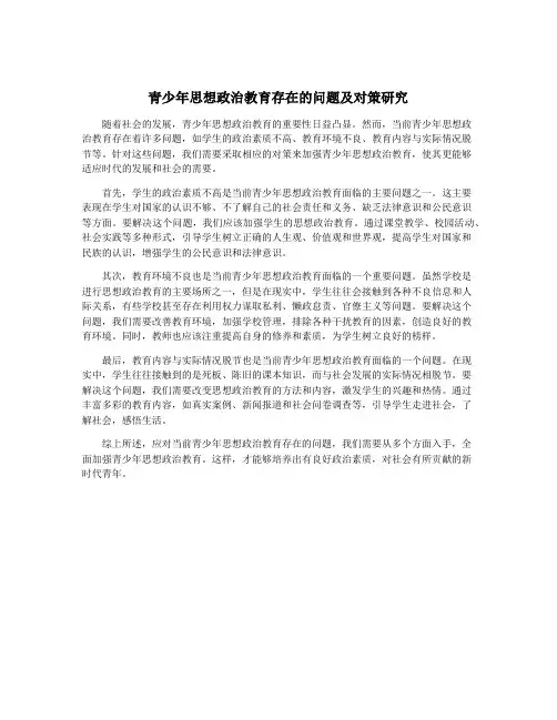 青少年思想政治教育存在的问题及对策研究