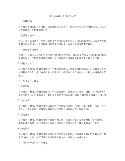 分公司落地后工作计划范文