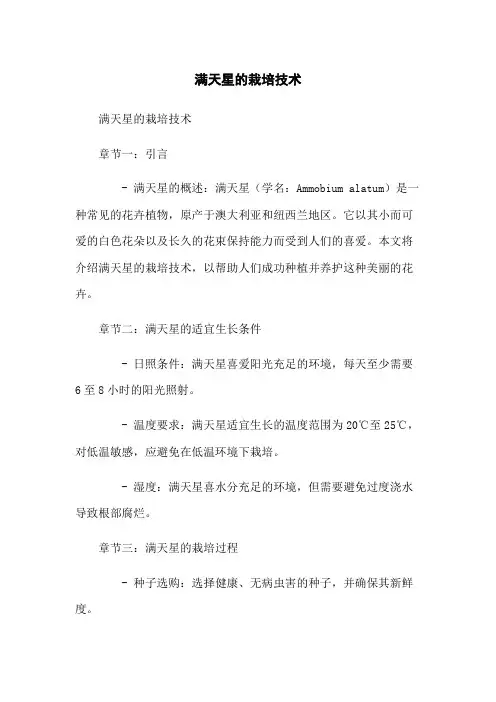 满天星的栽培技术