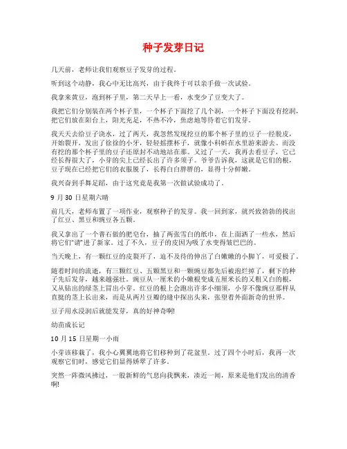 种子发芽日记范文