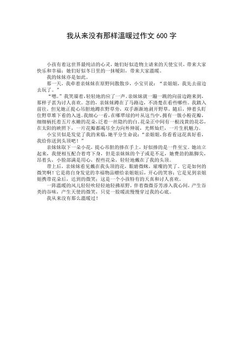 我从来没有那样温暖过作文600字