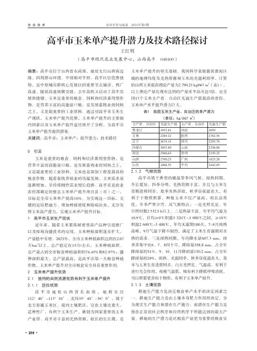 高平市玉米单产提升潜力及技术路径探讨