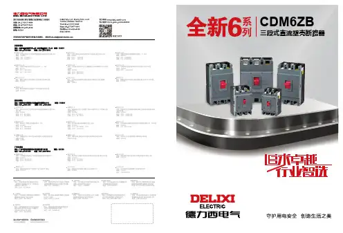德力西电气 CDM6ZB直流塑壳断路器样本-2023年第一版 产品说明书