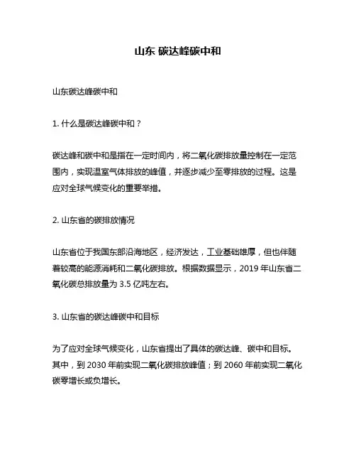 山东 碳达峰碳中和