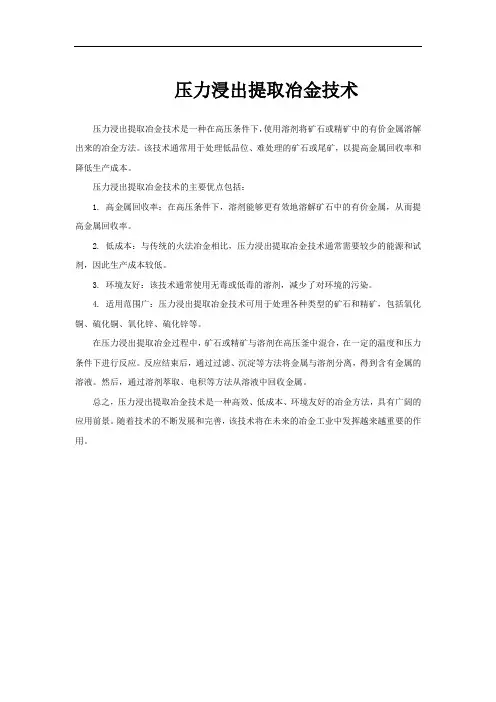 压力浸出提取冶金技术