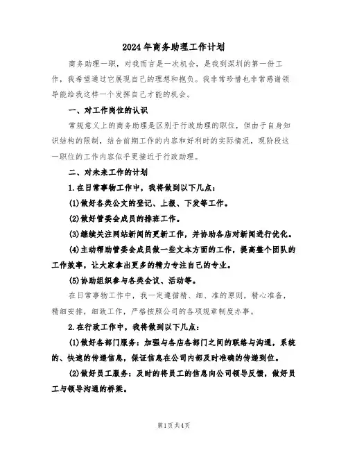 2024年商务助理工作计划（二篇）