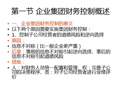 第八章企业集团财务控制