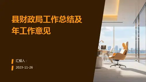 县财政局工作总结及年工作意见