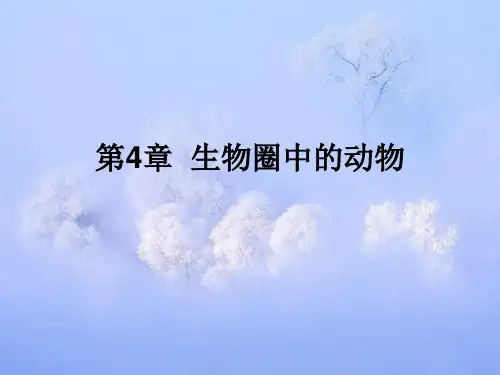 生物圈中的动物PPT精品课件