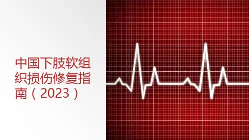 中国下肢软组织损伤修复指南(2023)