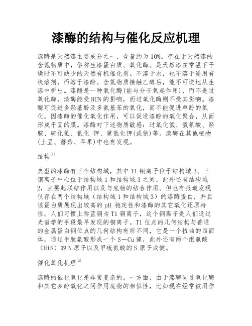 漆酶的结构与催化反应机理