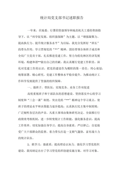 统计局党支部书记述职报告