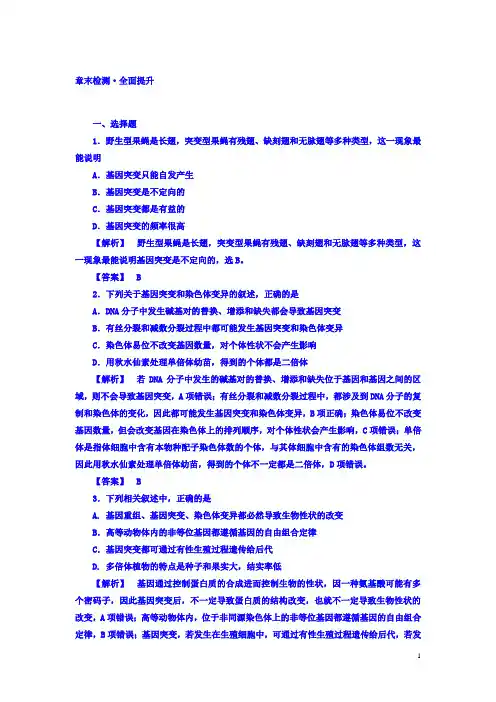 高一生物人教版必修2 章节检测： 第5章 检测：含答案