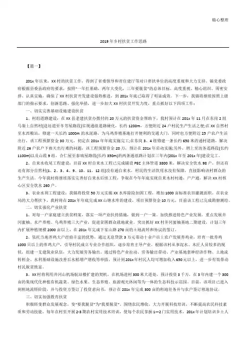 2019年乡村扶贫工作思路