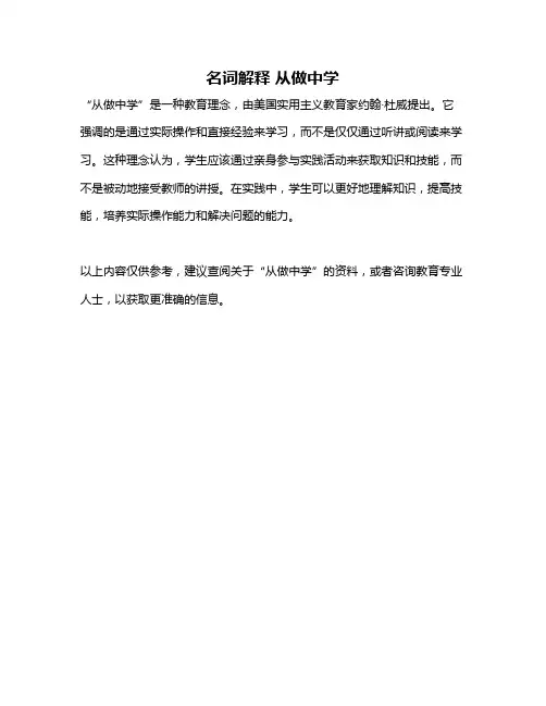 名词解释 从做中学
