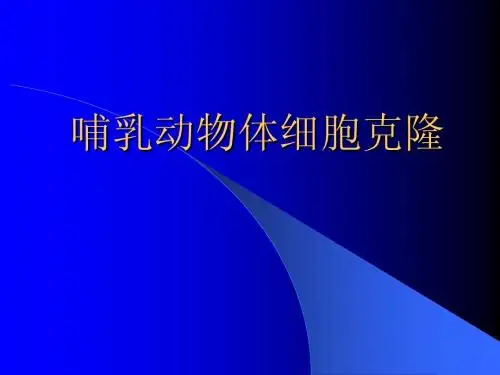 哺乳动物体细胞克隆