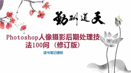 Photoshop人像摄影后期处理技法100问 (修订版)