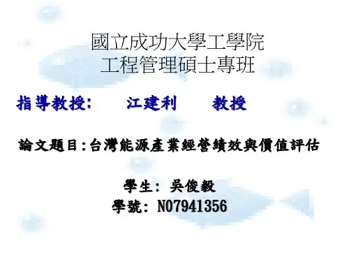 台湾能源产业经营绩效与价值评估