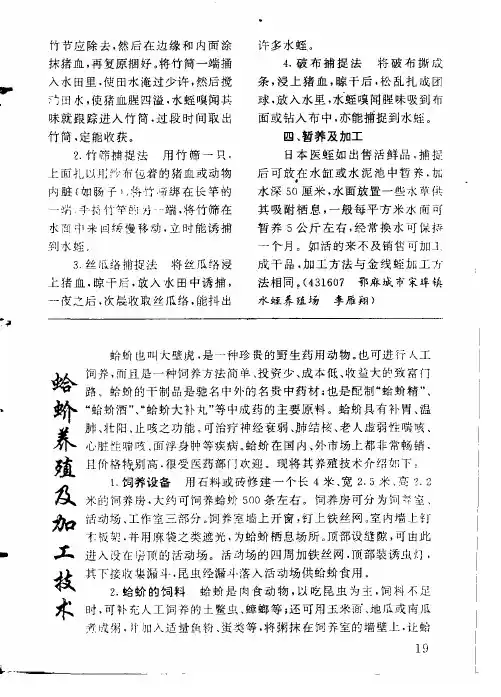 蛤蚧养殖及加工技术