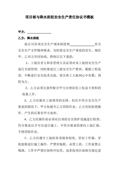 项目部与降水班组安全生产责任协议书模板
