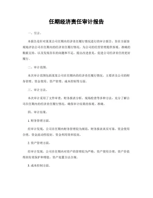 任期经济责任审计报告