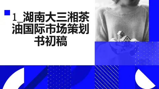 湖南大三湘茶油国际市场策划书初稿