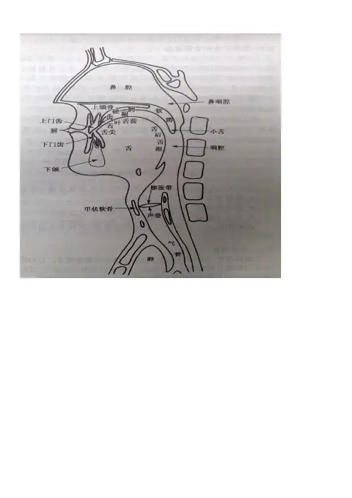 48个国际音标发音部位要领