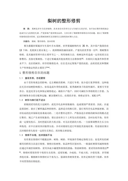梨树整形修剪