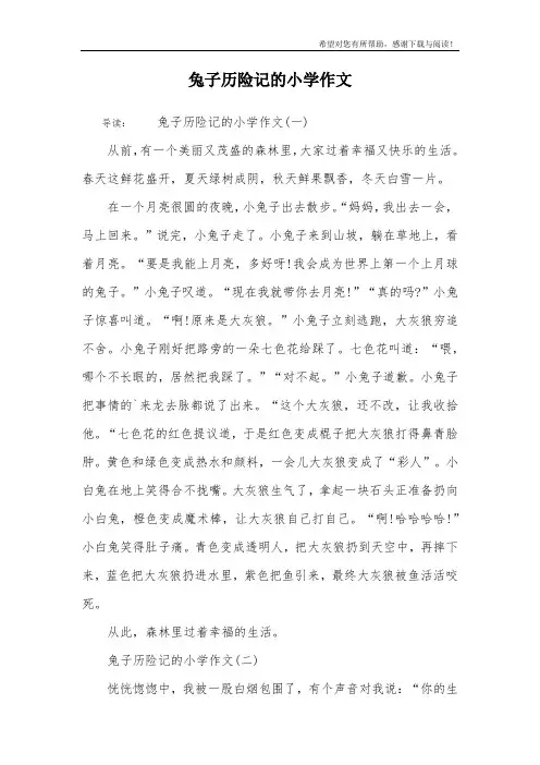 兔子历险记的小学作文