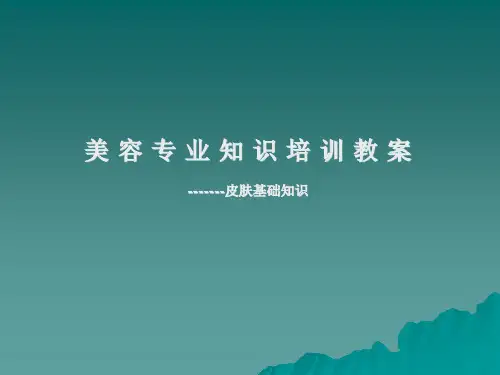 皮肤知识与问题性皮肤分析(入行必看)