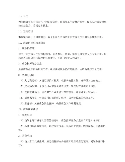 公司大雪应急预案