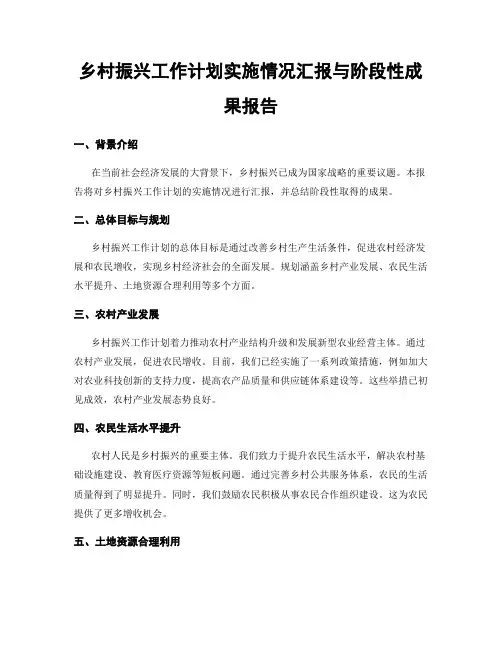 乡村振兴工作计划实施情况汇报与阶段性成果报告