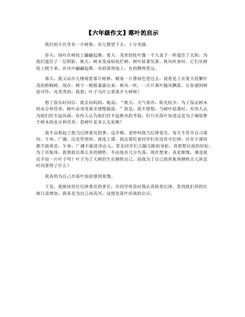 【六年级作文】落叶的启示