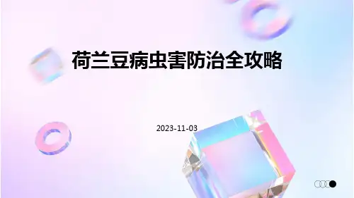 荷兰豆病虫害防治全攻略