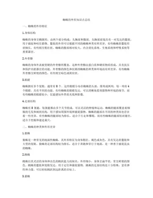 蜘蛛的外形知识点总结