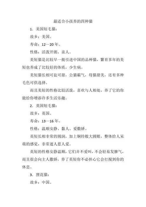 最适合小孩养的四种猫