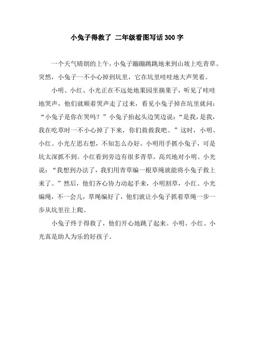 小兔子得救了 二年级看图写话300字