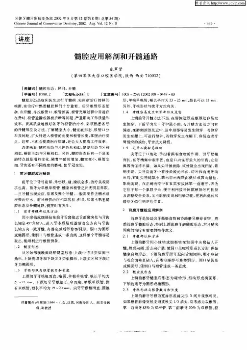 髓腔应用解剖和开髓通路