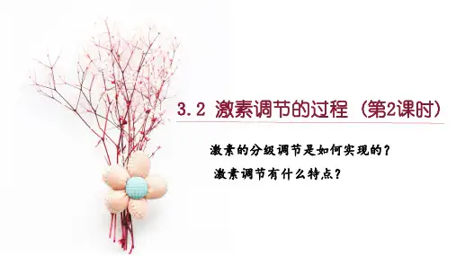 3_2_2 激素调节的过程课件-高二上学期生物人教版选择性必修1