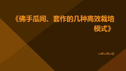 佛手瓜间、套作的几种高效栽培模式