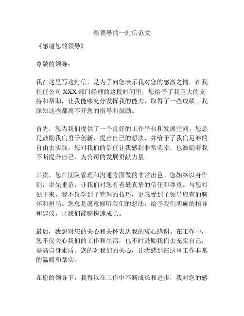 给领导的一封信范文