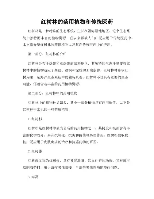 红树林的药用植物和传统医药