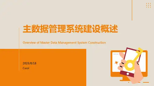 2023年主数据管理系统建设方案
