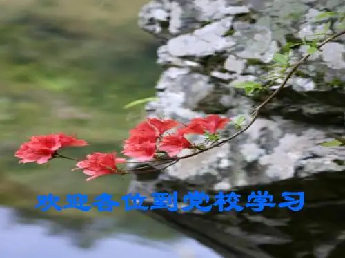 领导科学理论ppt