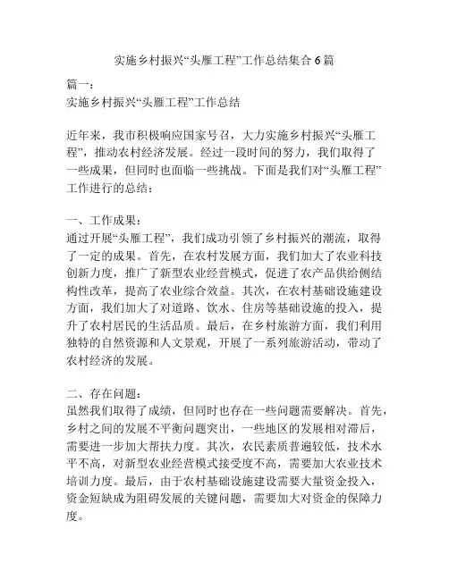 实施乡村振兴“头雁工程”工作总结集合6篇