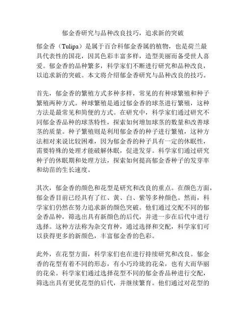 郁金香研究与品种改良技巧,追求新的突破