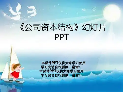《公司资本结构》幻灯片PPT