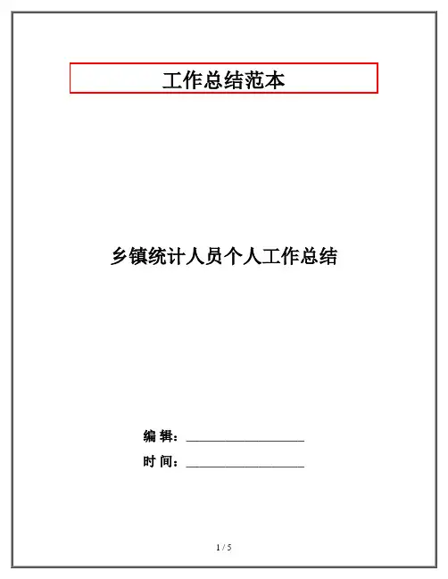 乡镇统计人员个人工作总结