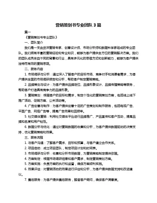 营销策划书专业团队3篇